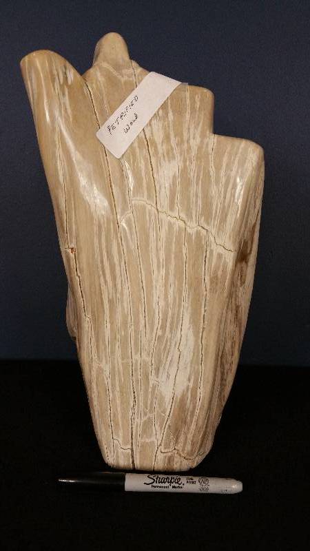 lot 26 image: Large Petrified Fossilized Wood Sculpture