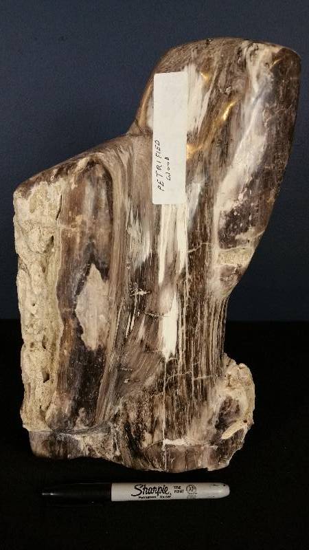 lot 27 image: Large  Petrified Fossilized Wood Sculpture