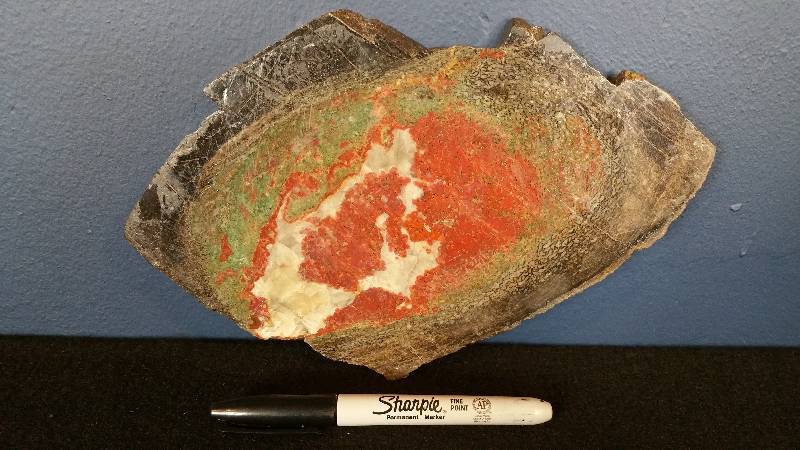 lot 28 image: Dinosaur Bone Fossil