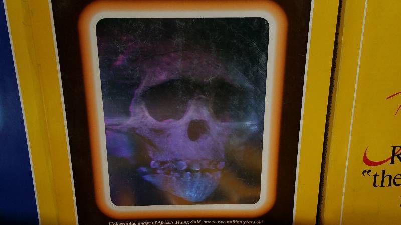 lot 176 image: (15) Holographic National Geographic Magazines  100 Year Issue