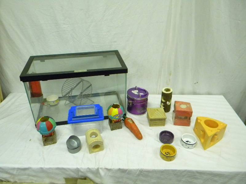 lot 146 image: Hamster Lot