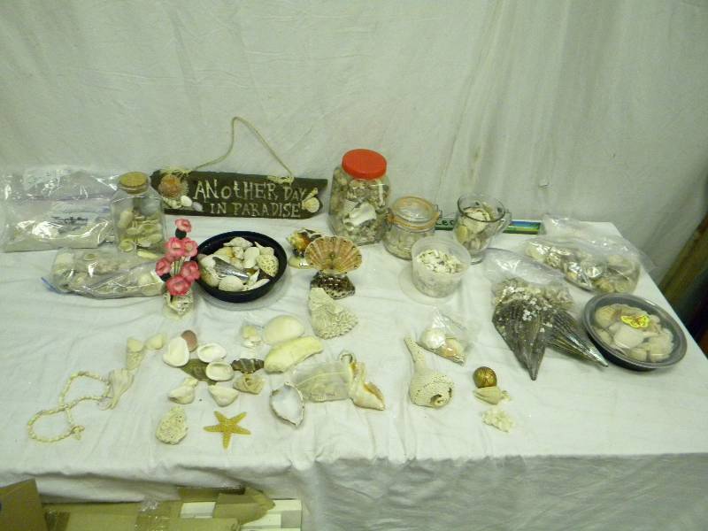 lot 166 image: Large Shell Collection and Decor Lot