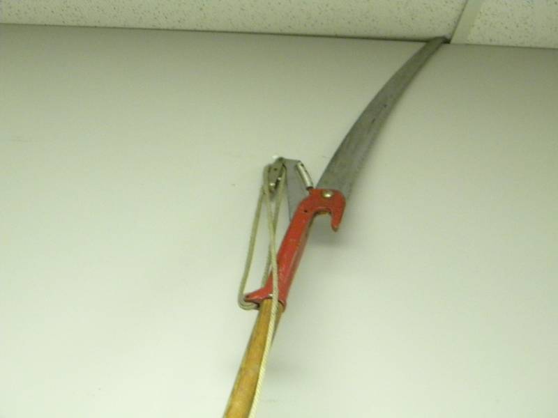 lot 15 image: Pole Saw