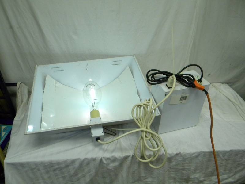 lot 11 image: Diamond Horticultural Grow Light
