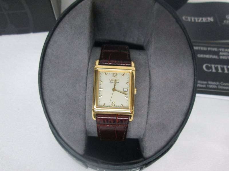 Citzen Mens Eco Drive Brown Leather Watch