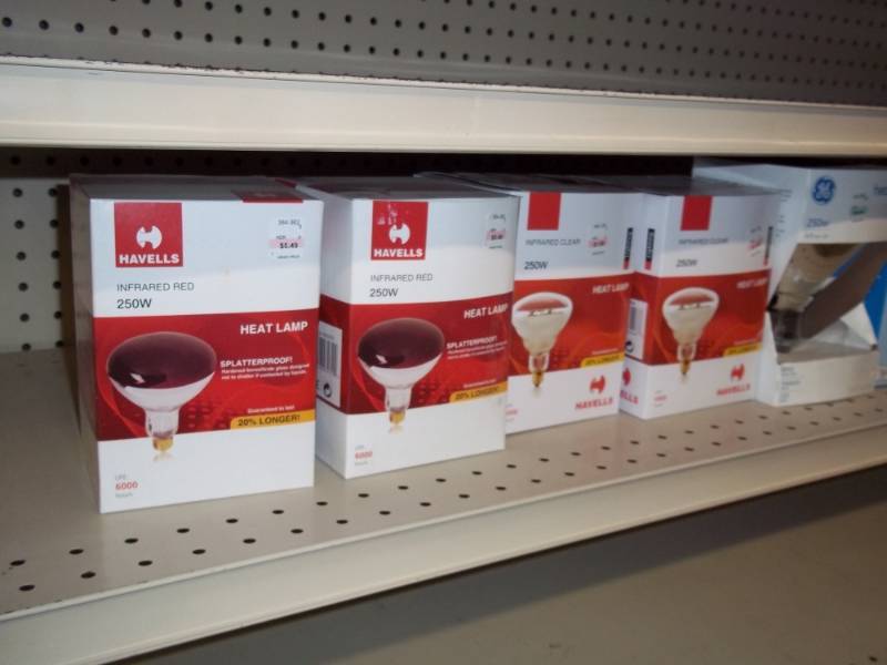 lot 368 image: 4 ft Shelf Lot of Misc Heat and Infra Light Bulbs