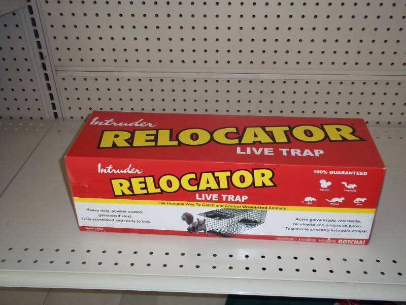 lot 438 image: Live Trap 18 X 5 X 5.5