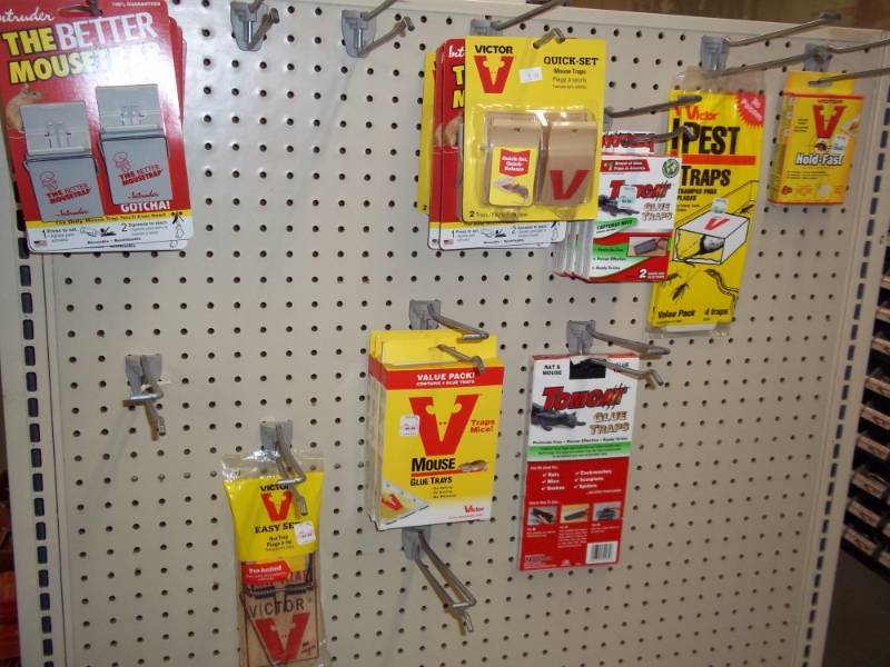 lot 575 image: Wall Lot of Variety of Mouse Traps and Glue Trays