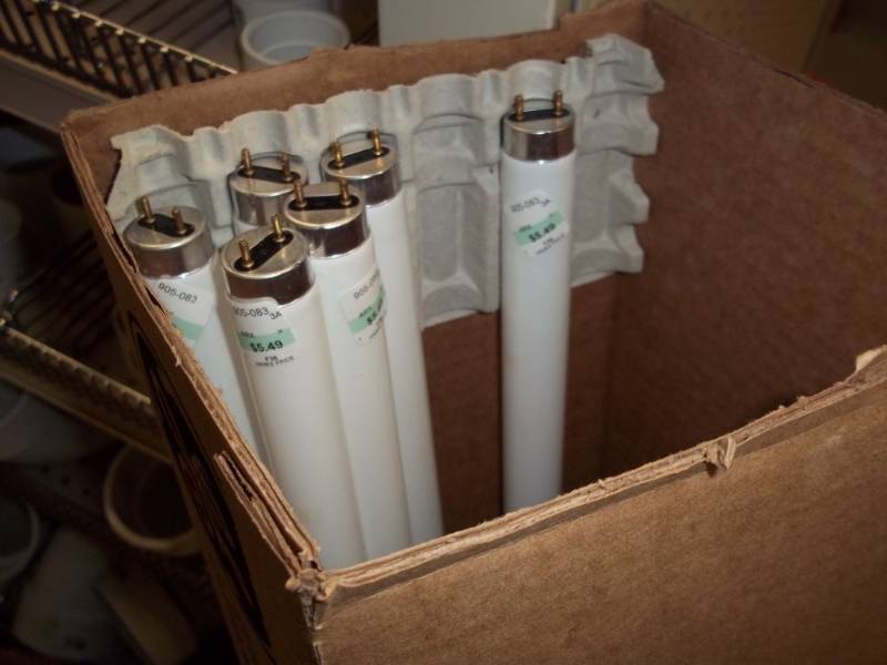 lot 1005 image: Box of 6 4 ft Fluorescent Lamps