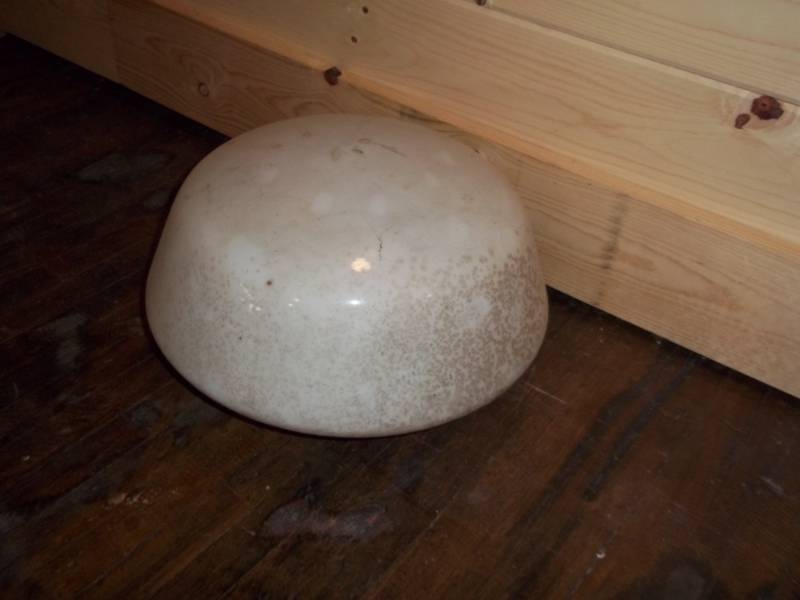 lot 1225 image: Used vintage light globe