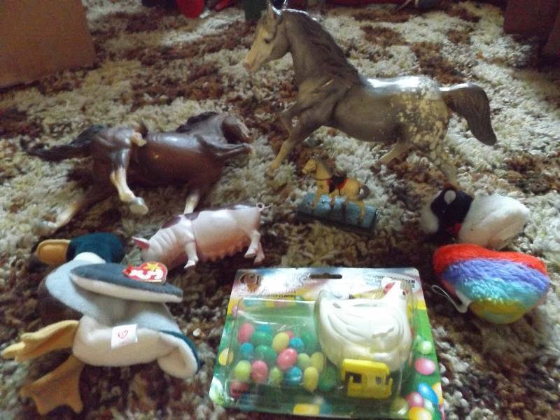 Animals