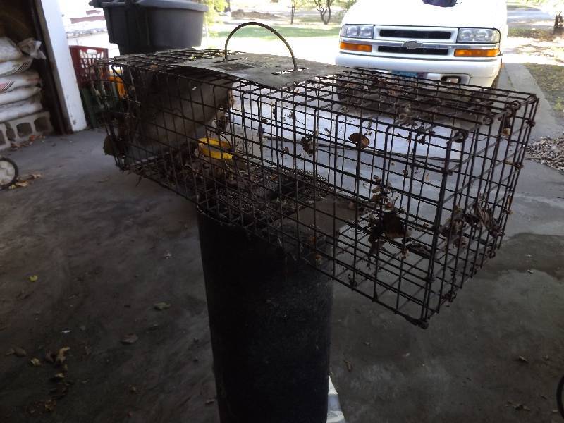 Live Animal Cage