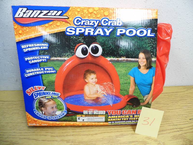 lot 31 image: Crazy Crab Pool