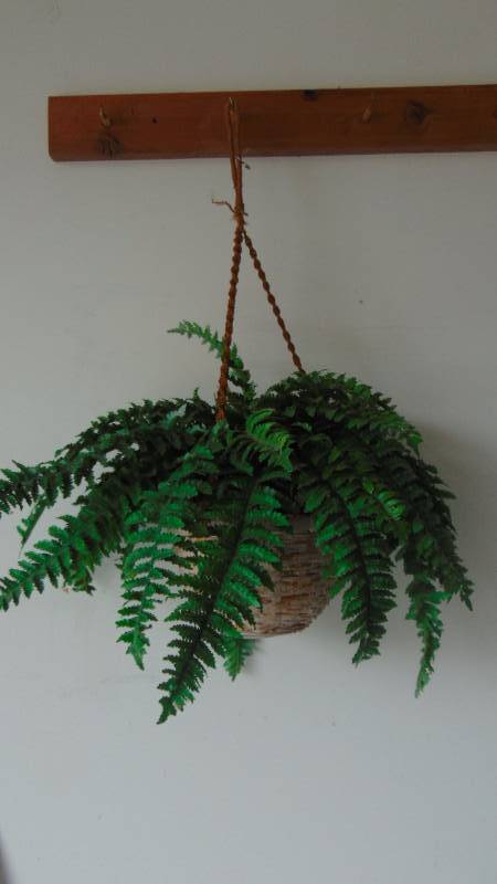 Artificial Hanging Plant