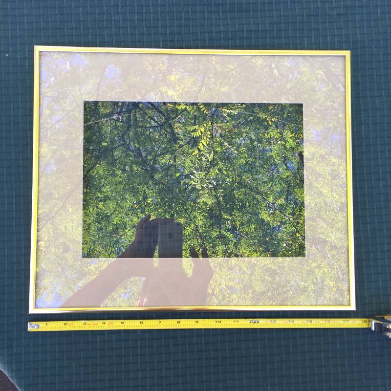 lot 107 image: 7 Matching Gold and Glass Picture Wall Frames (see pics for sizes)