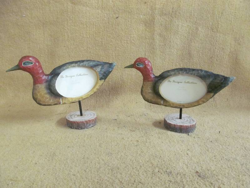 Duck Frames