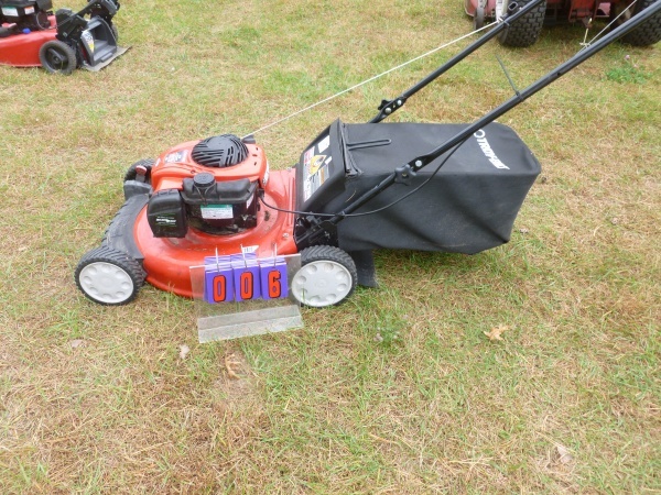SnS Auctions # 184 End of the season lawn mowers & outdoor