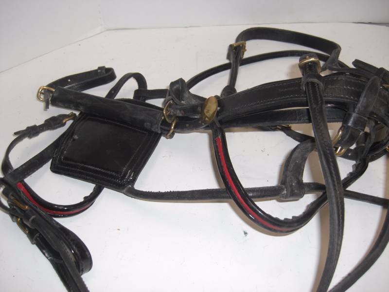 Horse Tack # 1