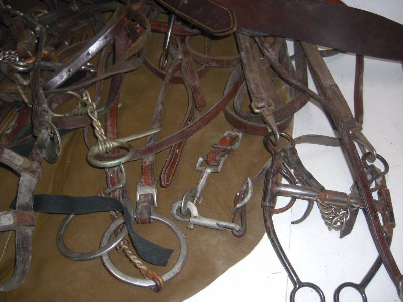 Horse Tack # 3