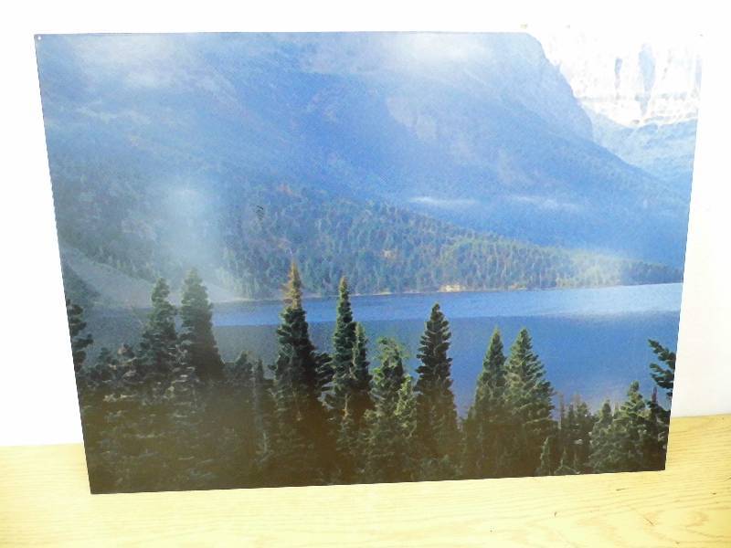 Metal Art - Landscape
