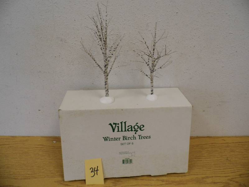 Winter Birch Trees