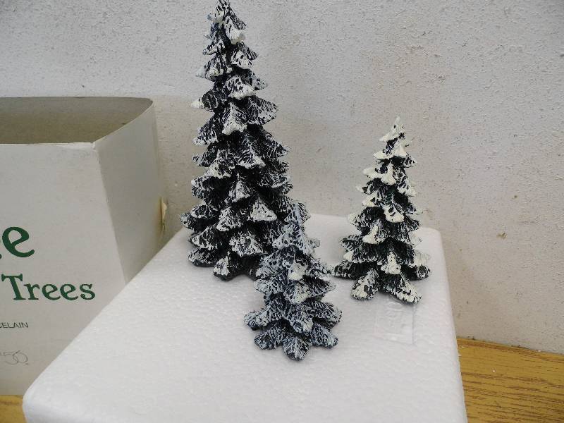 Evergreen Trees