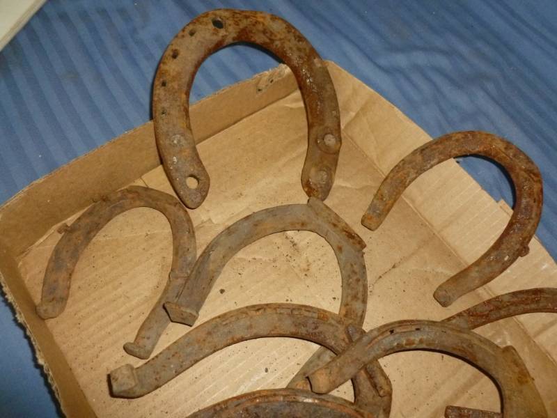 Antique Horse Equipment