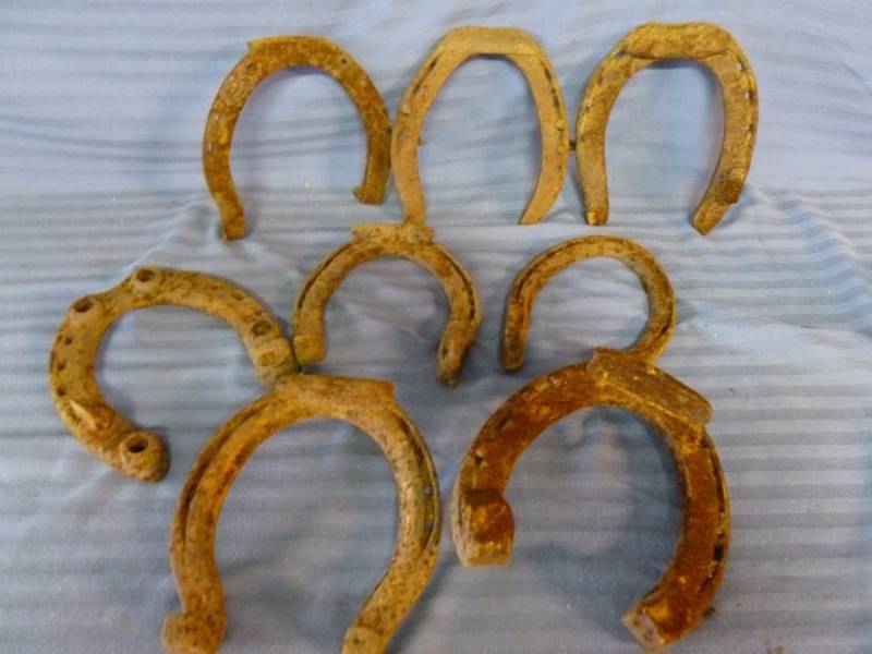 Antique Horse Equipment
