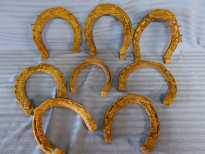 Antique Horse Equipment
