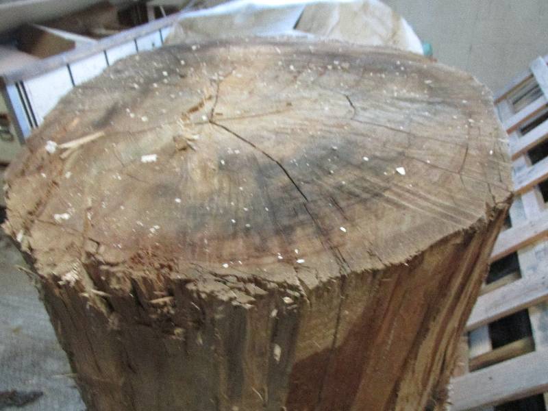 4 12  - 5 foot tall log, 2 feet or...