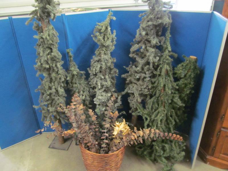 trees