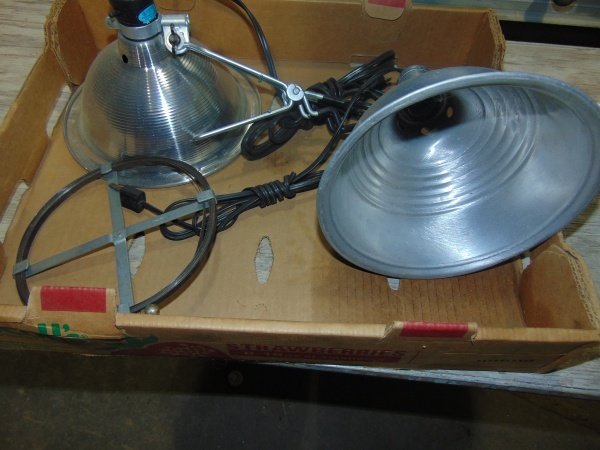 lot 118 image: (2) Clamp Lights