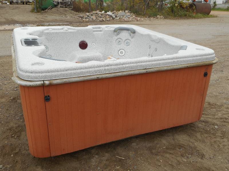 lot 11 image: Cal-Spas Deluxe Hot Tub With Lights...