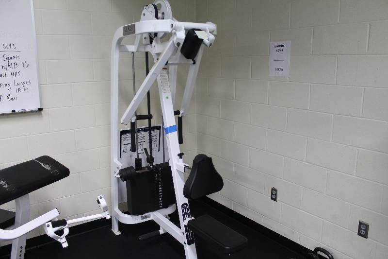 Cybex row best sale rear delt machine