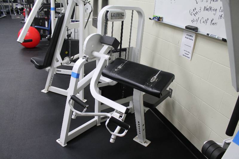 Cybex Arm Curl