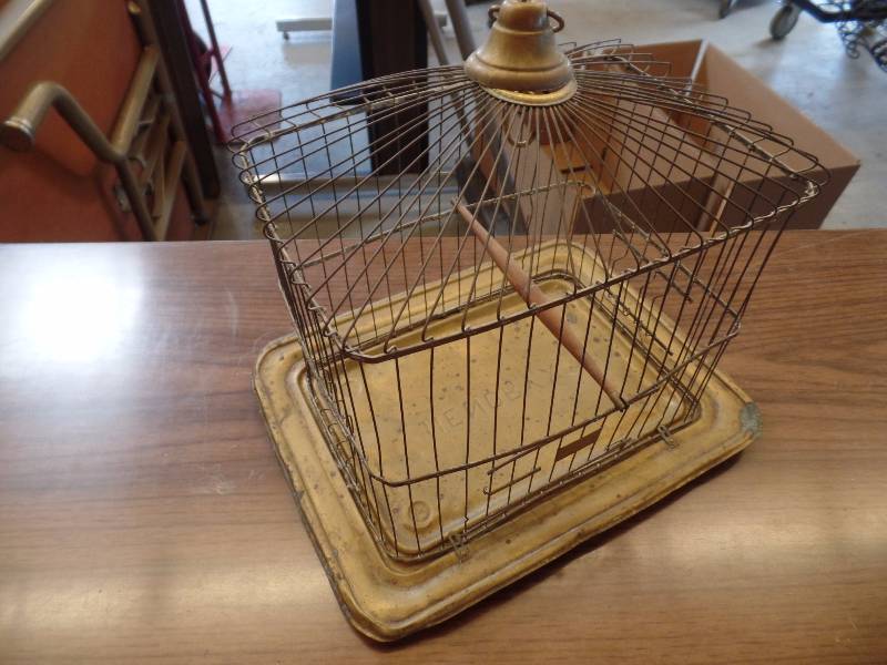 Bird Cage