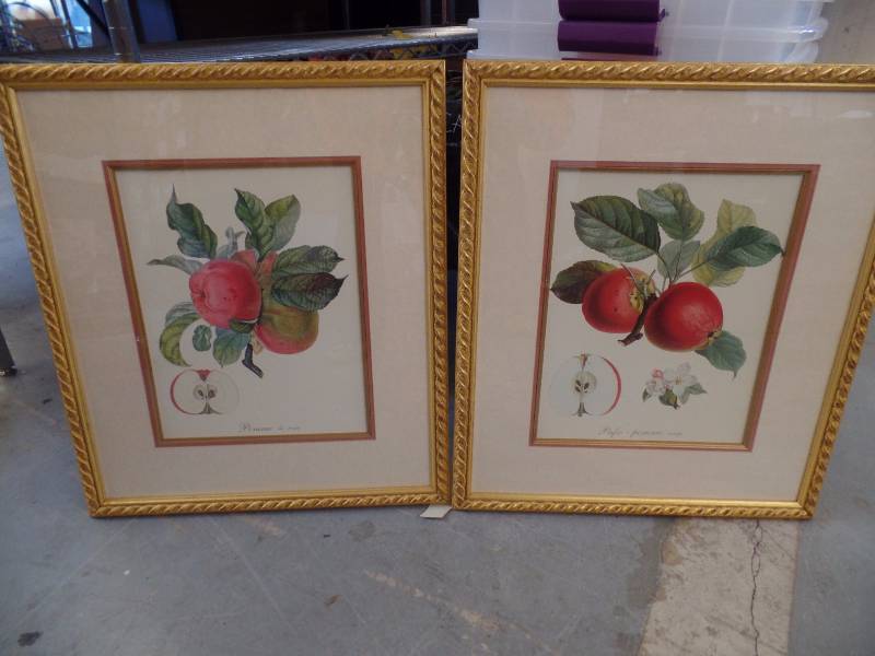 Framed Art