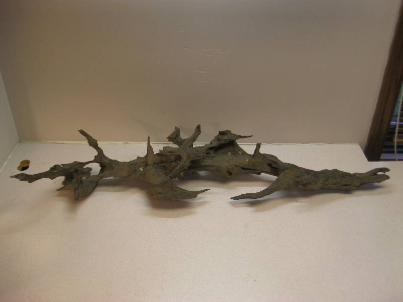 lot 175 image: Gnarly Piece Of Drift Wood....