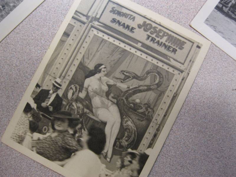 lot 200 image: Vintage Reproduction Circus Photo Cards And P...