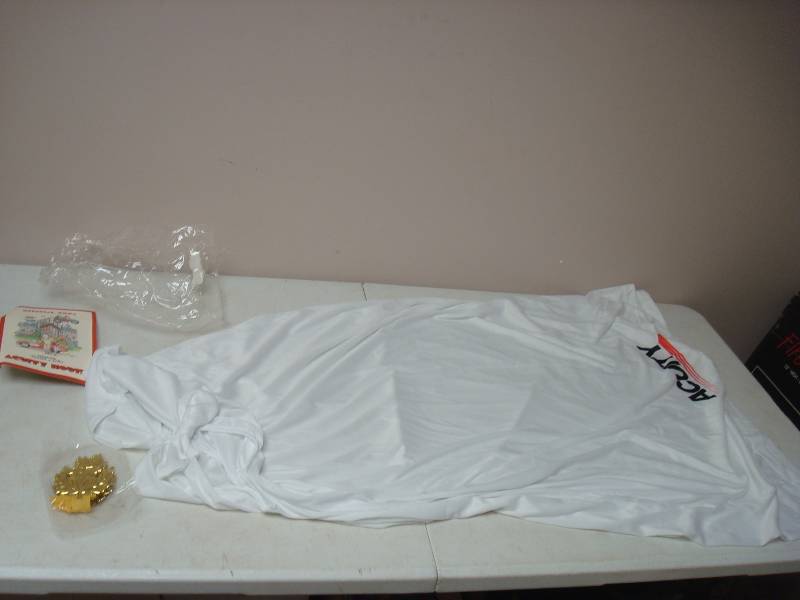 lot 258 image: Halloween Costume Toga....
