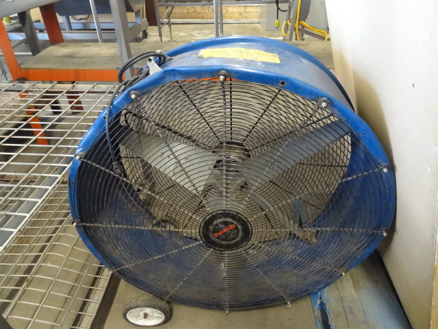 lot 12 image: 36 Electric Fan