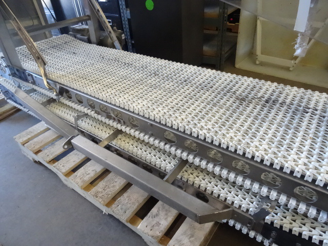 lot 64 image: 2 Plastic Chain Conveyor Sections