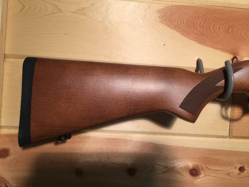 lot 5 image: Ruger 1022 Stainless .22LR Semi-Auto Rifle