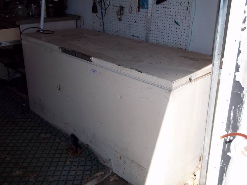 lot 161 image: Large Chest Freezer