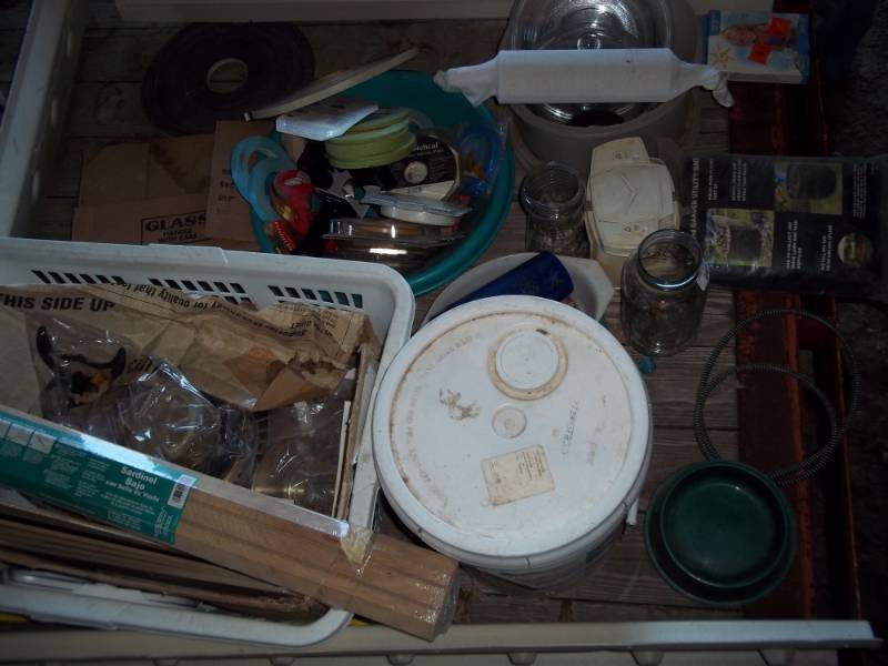 lot 247 image: 5 Gallons paint lot with supplies
