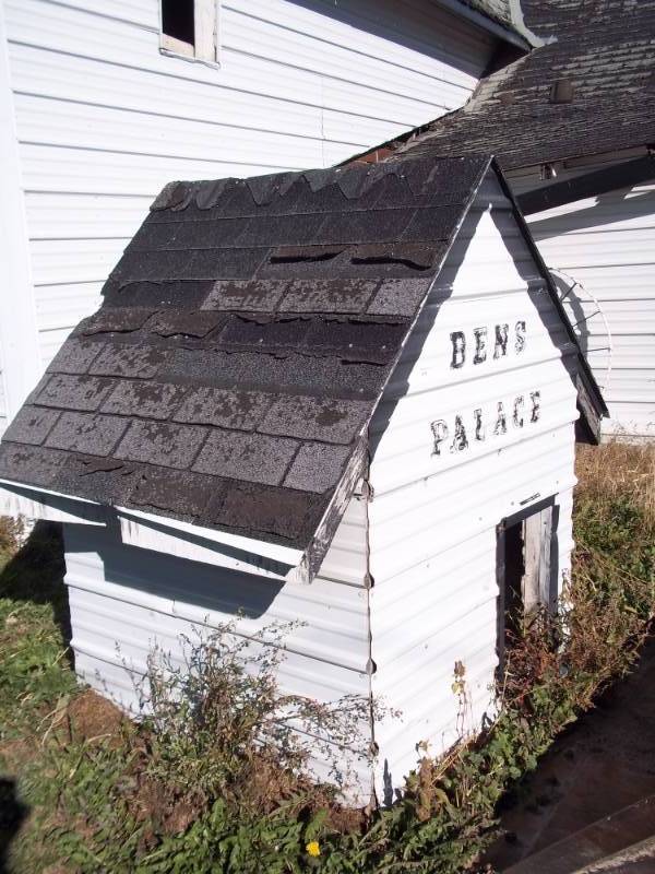 lot 313 image: Dog House