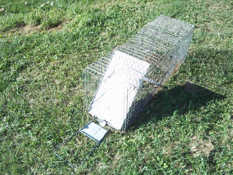 lot 314 image: Large Animal Trap
