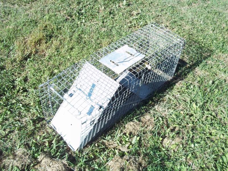 lot 315 image: Large Animal Trap