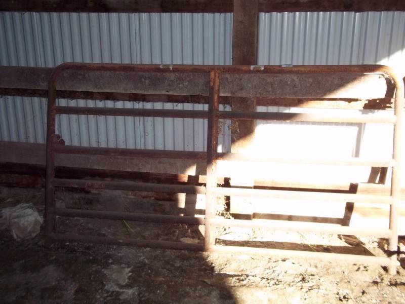 lot 417 image: Steel Cattle Gate 8