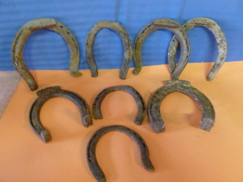 Antique Horse Equipment